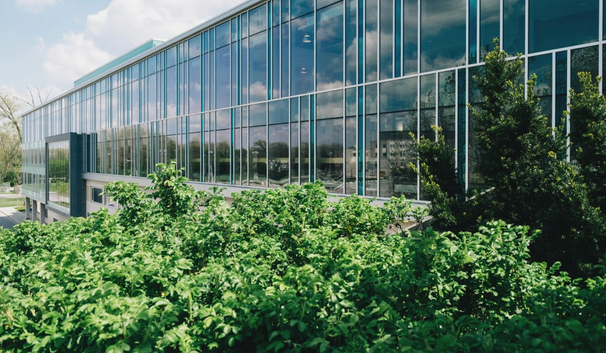 modern office complete design with graden